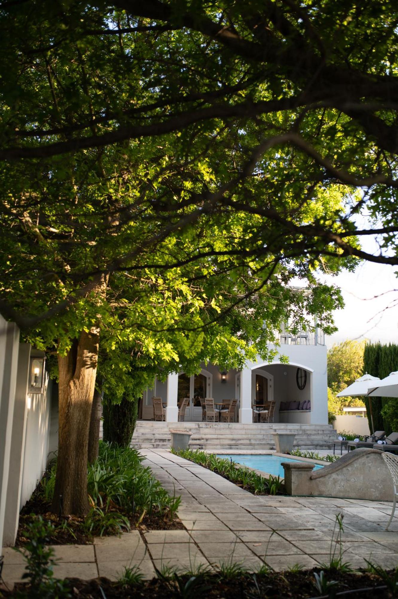 Maison d'Ail Guest House Franschhoek Extérieur photo